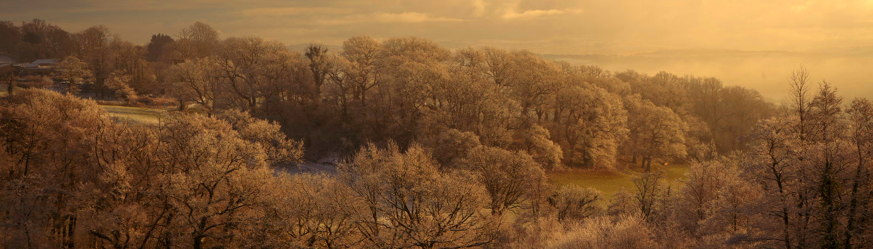 Projects Banner: Carmarthenshire Snowy Scene
