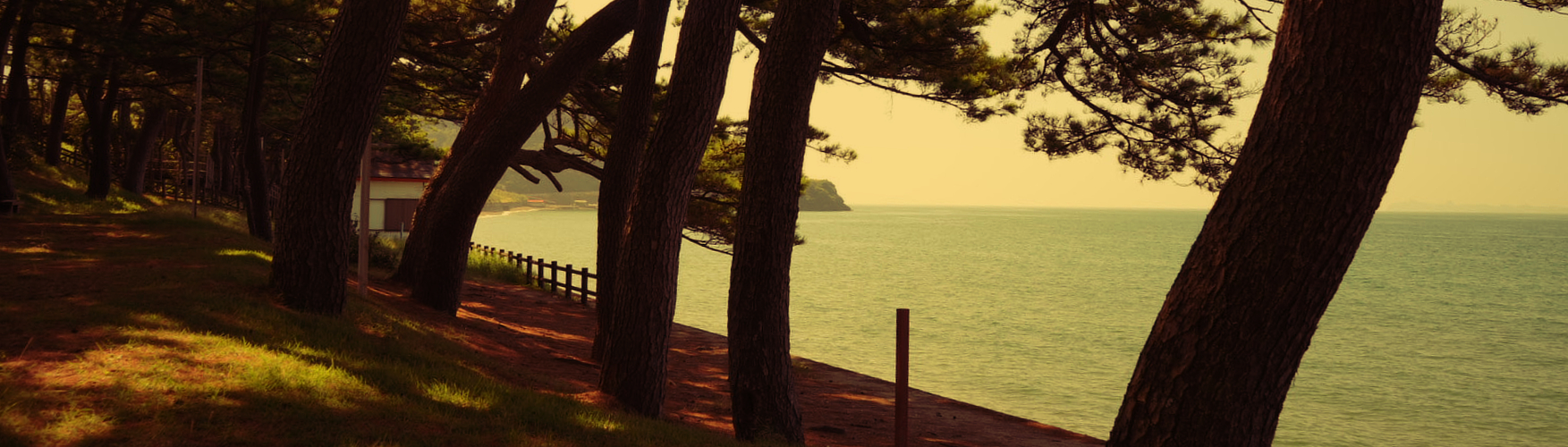 Blog Banner: Kagoshima Coast